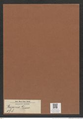 Roperia sp. (de-Toni-Nr.: Genus 178) Zeichnungen Sammlung Grunow Mappe 04398 (Herbarium_W_Grunow_drawings_Folder_04398)